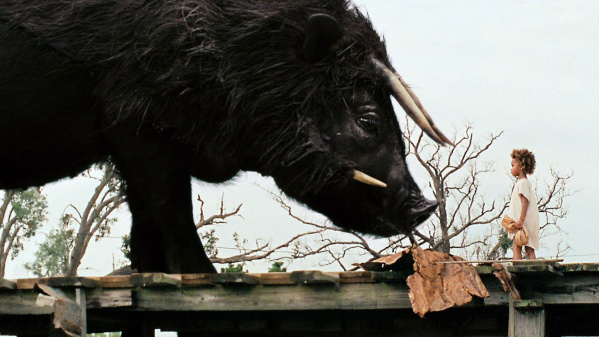 Beasts of the Southern wild